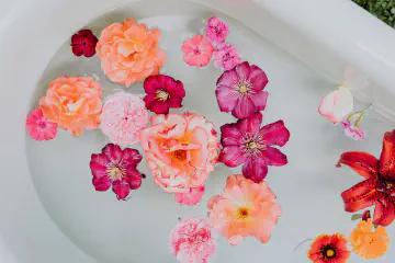 How to Use Rose Water on the Face